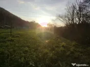 COMISION 0% Teren intravilan de vanzare in Barsana (26 ARI) 