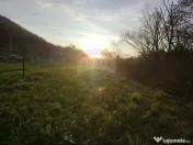 COMISION 0% Teren intravilan de vanzare in Barsana (26 ARI) 