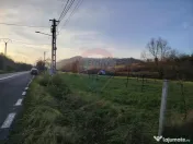 COMISION 0% Teren intravilan de vanzare in Barsana (26 ARI) 
