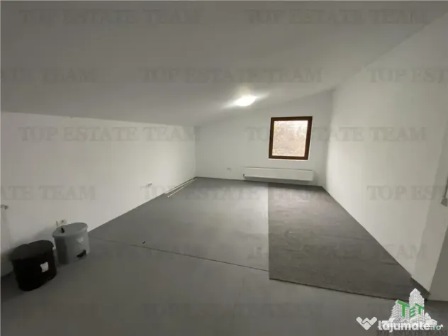 Casa de inchiriat activitate comerciala, zona Doamna Ghica