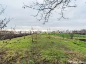 Casă + livadă tânără + curte 2.500 mp în Dorobanți 