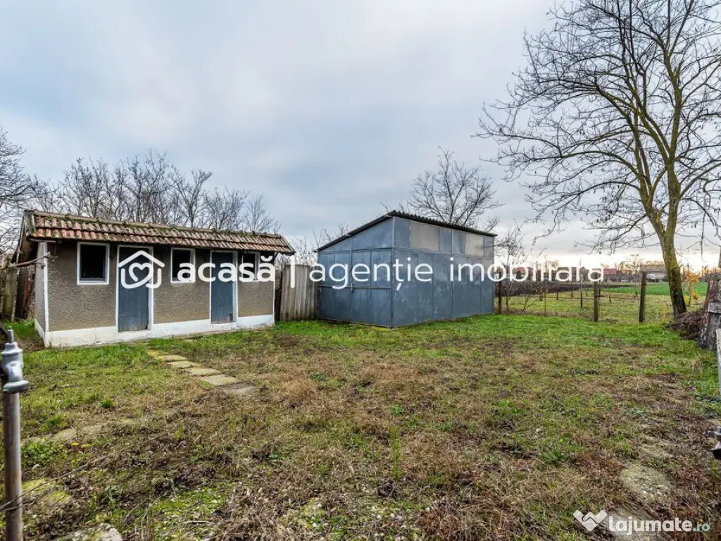 Casă + livadă tânără + curte 2.500 mp în Dorobanți