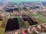 Casă + livadă tânără + curte 2.500 mp în Dorobanți 