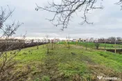 De vânzare casă în Dorobanți / 2 fronturi stradale 