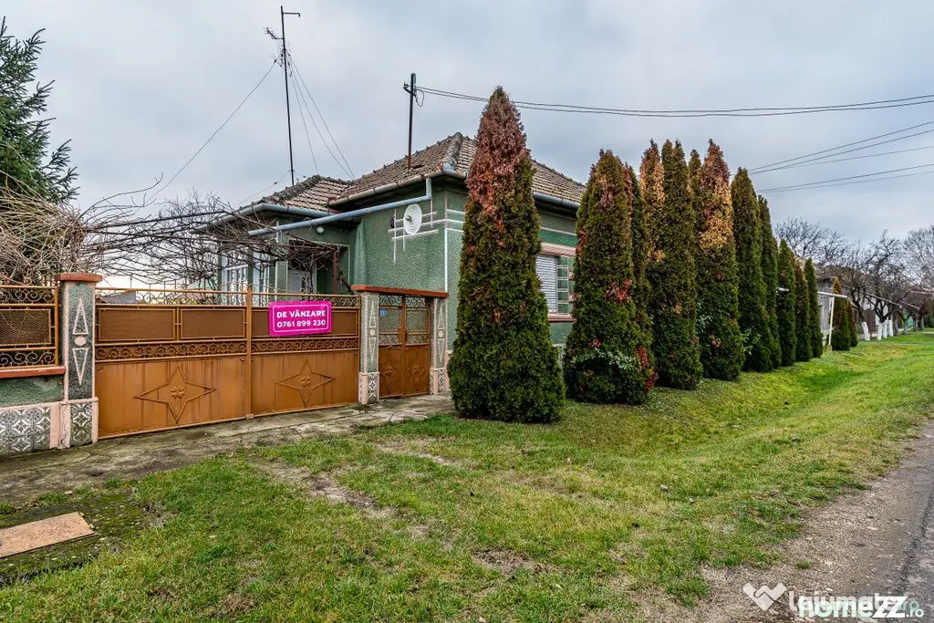 Dorobanți / casă + 2500 mp teren