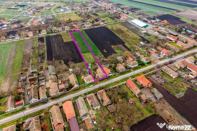 Dorobanți / casă + 2500 mp teren