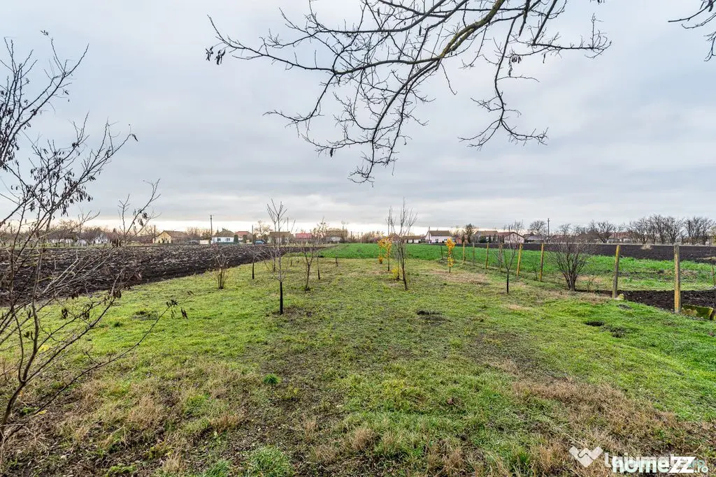 Dorobanți / casă + 2500 mp teren