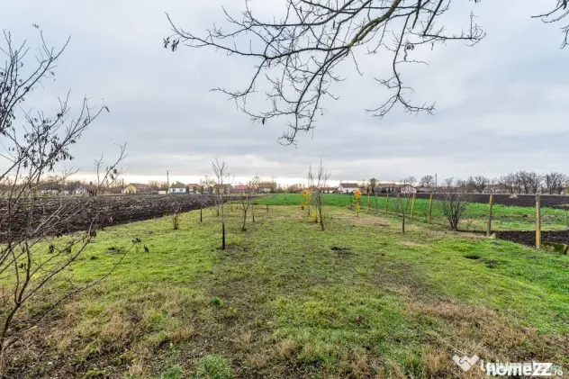 Dorobanți / casă + 2500 mp teren