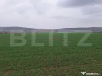 Teren extravila CUGIR 10.000 mp