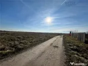 Teren intravilan, HARMAN 1000MP 