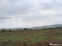 Teren 4500 mp intravilan, TOMESTI-GORUNI