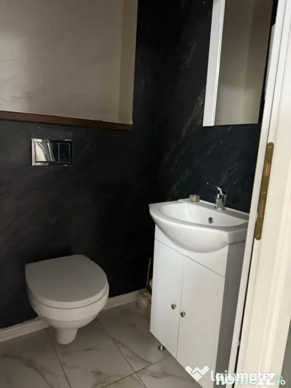 Spatiu comercial, 102 mp, salon de infrumusetare complet ech - Malu Mare (Dolj)