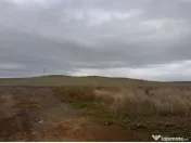 Teren extravilan cota parte 3/24, Nalbant ; ID: R2827364 
