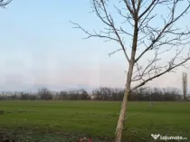 Teren, 594 mp, dubla deschidere, zona Braniste