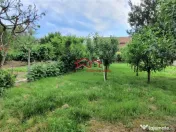 Casa Apoldu de Jos,jud.Sibiu,oportunitate afacere,comision 0 