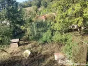 Casă individuala cu teren generos 