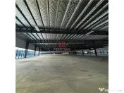 Depozit/hala/spatiu industrial/showroom Afumati - DN2 - Dor 