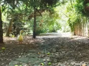 Vila la Lacul Snagov deschidere 21 ml, ponton propriu 