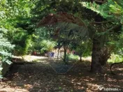 Vila la Lacul Snagov deschidere 21 ml, ponton propriu 