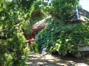 Vila la Lacul Snagov deschidere 21 ml, ponton propriu 