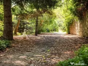 Vila la Lacul Snagov deschidere 21 ml, ponton propriu 