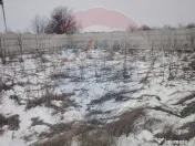 Teren 413mp Pielesti / Aleea Paraul Brates 