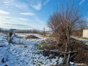 Teren intravilan 3021 mp in zona Avrig din Sibiu 