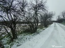 Teren 640 mp, Mischii, front 45,78 m