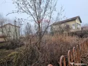 Teren 625mp Mogosoaia / Strada Livezilor 