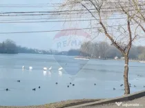 Teren 625mp Mogosoaia / Strada Livezilor