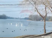 Vanzare Teren 625mp Mogosoaia / Strada Livezilor