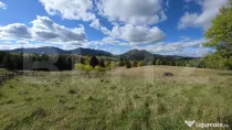 Teren 1,5 hectare - la Piatra Fantanele