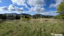 Teren 1,5 hectare - la Piatra Fantanele