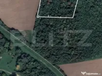 Pădure 10.000 mp Șag – front stradal 100 m, zonă în de