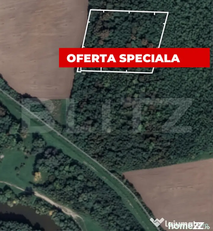 Pădure 10.000 mp Șag – front stradal 100 m, zonă în de