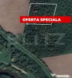 Pădure 10.000 mp Șag – front stradal 100 m, zonă în de