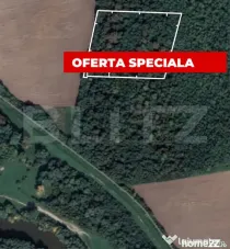 Pădure 10.000 mp Șag – front stradal 100 m, zonă în de