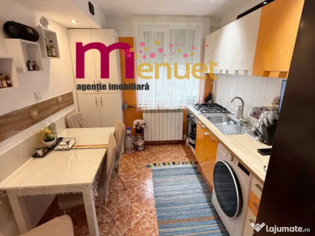 Apartament 2 camere,str.Isaccei,renovat total
