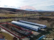 Teren intravilan 1.729 mp + hală parțial demolată | Te... 