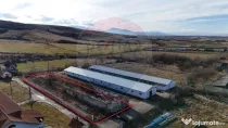 Teren intravilan 1.729 mp + hală parțial demolată | Te...