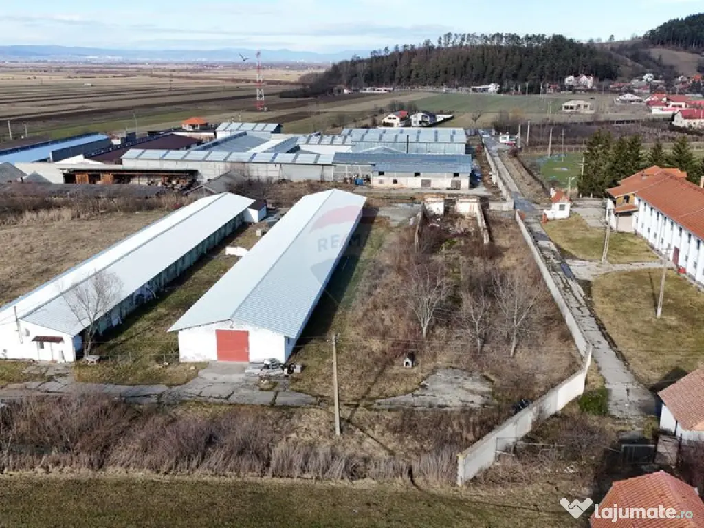 Teren intravilan 1.729 mp + hală parțial demolată | Te...