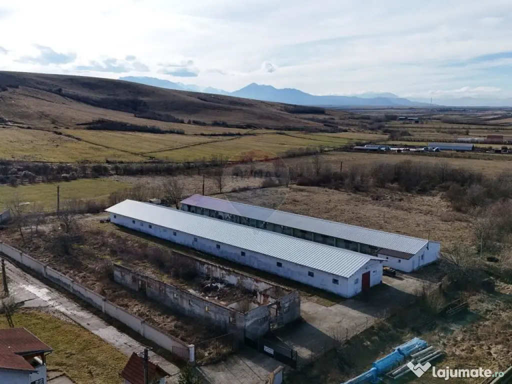 Teren intravilan 1.729 mp + hală parțial demolată | Te...