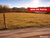 Teren 601 m2 intravilan Smeura - Stoenari 