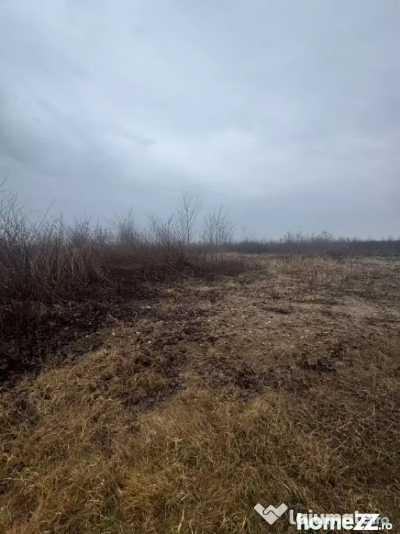 Teren extravilan Bușag 82 ari, plan drept, lângă Lăpuș, - Tautii Magheraus (Maramures)