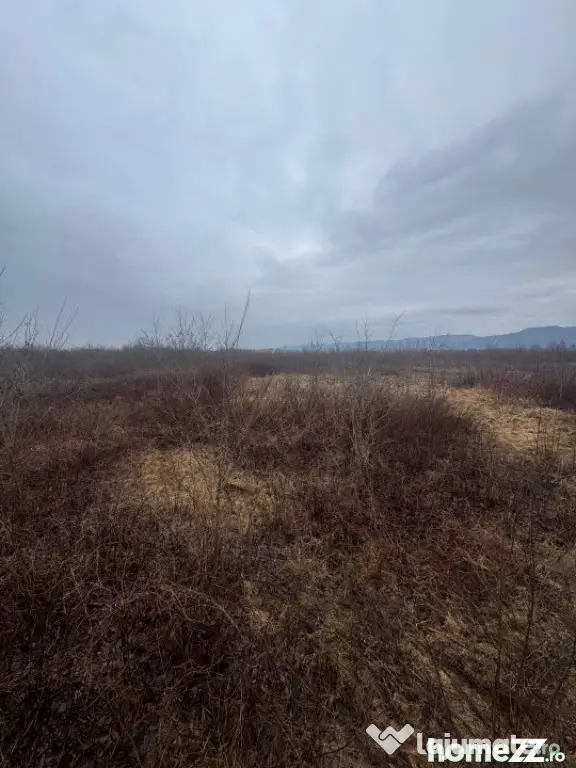 Teren extravilan Bușag 82 ari, plan drept, lângă Lăpuș, - Tautii Magheraus (Maramures)