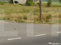 Teren intravilan 5.600 mp cu deschidere la DN12 – Chilieni