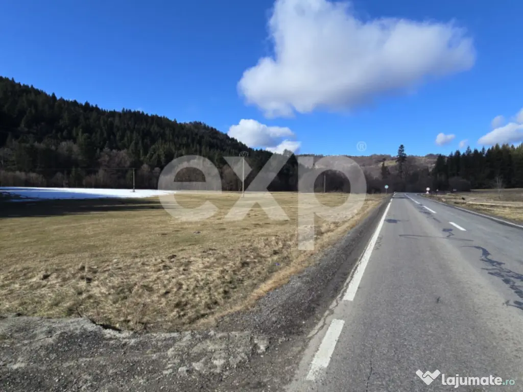 Teren extravilan 19.200 mp – DN1A Săcele, Brădet | Front