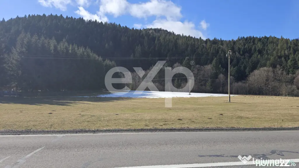 Teren extravilan 19.200 mp – DN1A Săcele, Brădet | Front