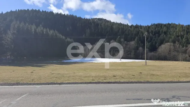 Teren extravilan 19.200 mp – DN1A Săcele, Brădet | Front