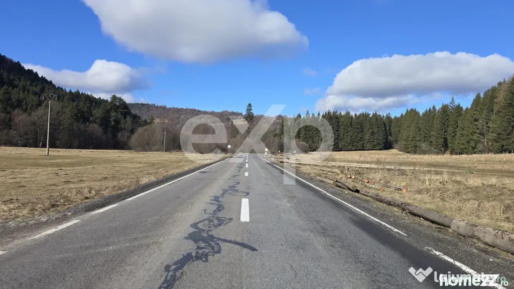Teren extravilan 19.200 mp – DN1A Săcele, Brădet | Front